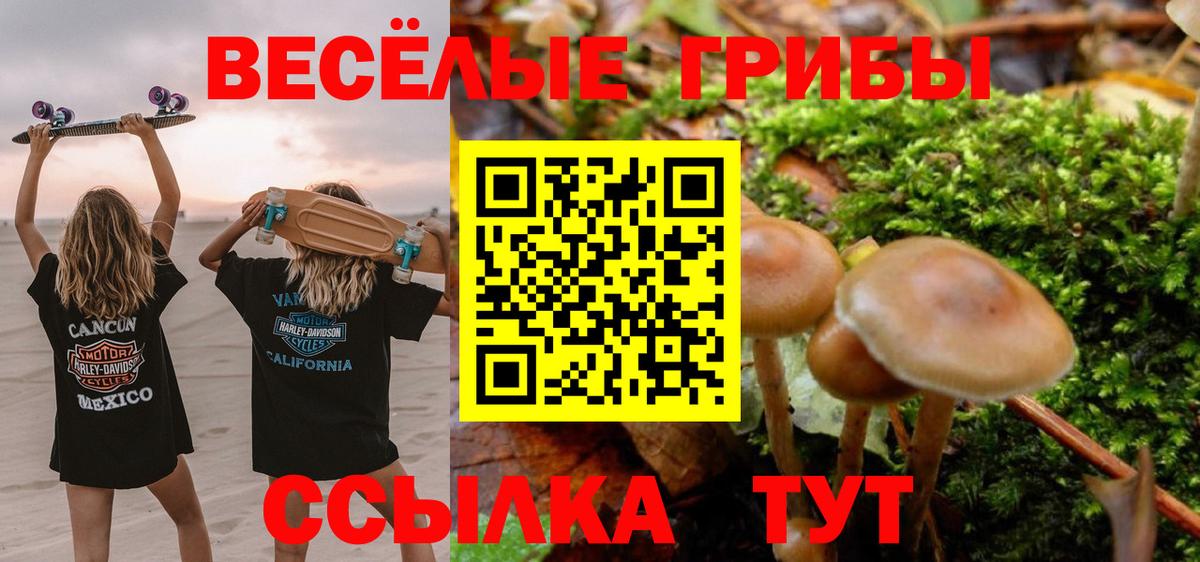 Галлюциногенные грибы мухоморы Можайск